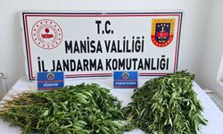 Manisa’da uyuşturucu baskınları: Binlerce hap ve esrar ele geçirildi
