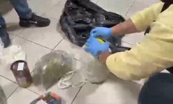 Peynir bidonunda 'zehir' yolculuğu!