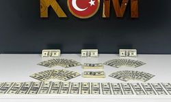 Sahte dolar operasyonu: 46 bin 200 dolar ele geçirildi