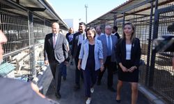 Karabağlar’da can dostlara modern sağlık merkezi