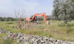 Mahkeme iptal etmişti... Zeytinliklere JES onayı!