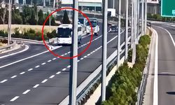 11 can gitti: Geri vites faciası!