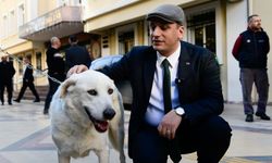 Ege'deki can dost krizi için Eşki'den açıklama: Çizgimizden bir milim sapmadık!
