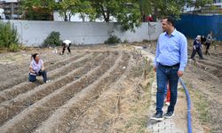 Kent bostanlarında yeni sezon... Bornova’da kadın eliyle kış bereketi!