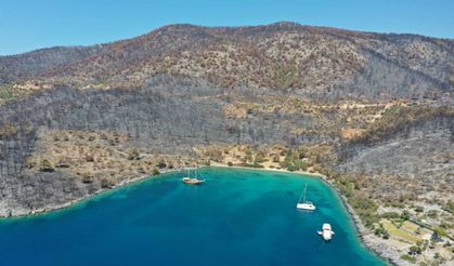 Muğla ve Marmaris'ten yürek burkan kareler... Yeşil cennet simsiyah oldu!