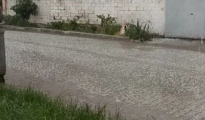 Ödemiş'i dolu vurdu!