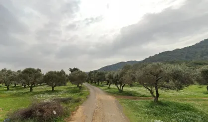 Kemalpaşa planlarına ŞPO’dan itiraz!