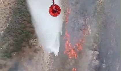 Foça'da çıkan yangın kontrol altına alındı!