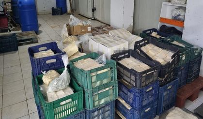 İzmir'de 1,5 ton bozuk peynir ele geçirildi