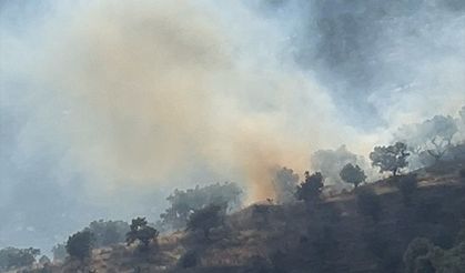 Bayındır'da zeytinlik alanda çıkan yangın kontrol altına alındı