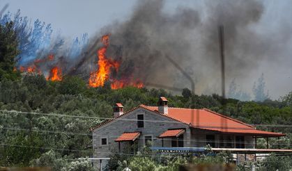Kaynak makinesinden çıkmıştı... Foça'daki orman yangını kontrol altında!