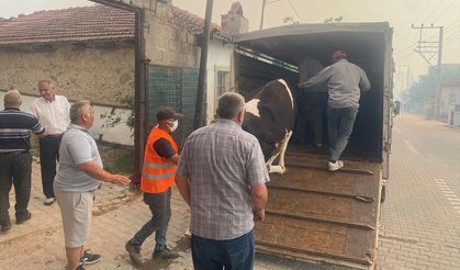 Manisa'da orman yangını: Bir mahalle tahliye edildi!