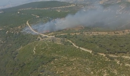 Foça'daki orman yangını kontrol altında