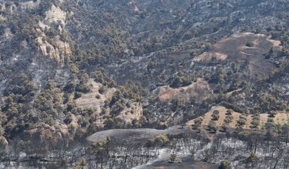 Manisa'daki felaketten kareler!