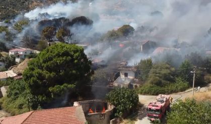 Bayındır'daki yangın kontrol altında!