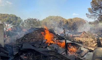 Alevlerin son adresi Kozak!