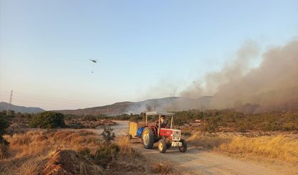 Urla yangını kontrol altında