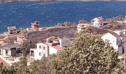 Sitede başladı makilik alana sıçradı... Dikili'de yangın!