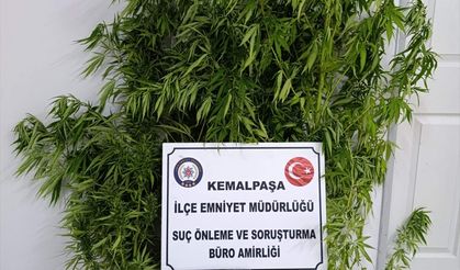 Kemalpaşa'da zehir baskını!