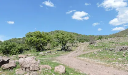 Tarihe komşu demir perde!