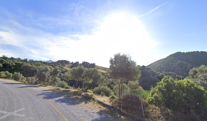 Bakanlık onay verdi... Zeytinliklere hançer!