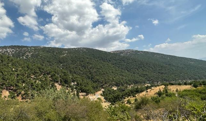 AYM’yi yapan şirkete ‘Spil’ onayı!