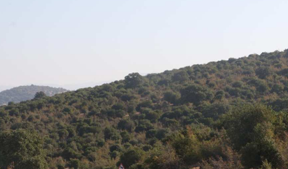 ‘Beşli Çete’ kitabında adı geçiyordu… O şirketin projesi Bakanlık masasında!