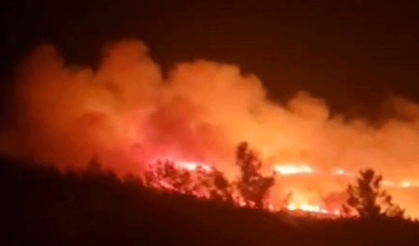 Urla yangını kontrol altında!