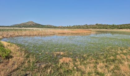 İris’e can suyu… DSİ’ye vana çağrısı!