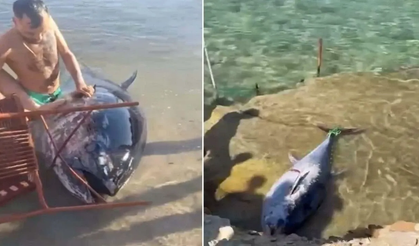 İzmir için görünmez tehlike: Turizmi bitirebilir!