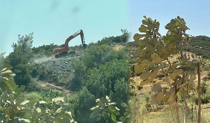 İncire Sabancı darbesi!