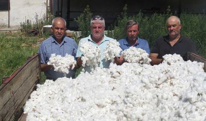 Üçte bir oranında azaldı… Beyaz altından kaçış!