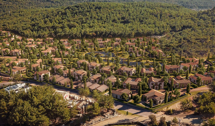 Tartışmalı projede Balkan’dan açıklama: Plan bakanlıktan, ruhsat kayyumdan!