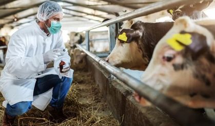 Bergama’da alarm:16 köy karantinaya alındı!