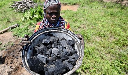 Küresel kömür kullanımı 2024’te rekor kırdı