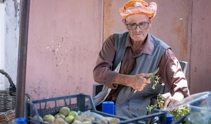 Beydağ incirinin katma değeri artıyor