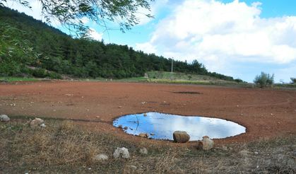 Geçen yıl tankerlerle su taşınmıştı... Sülüklü Göl kurudu!