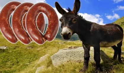 Bakanlık markayı ifşa etti... Sucuk anırdı!