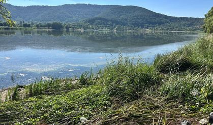 Kirlilik ile gündeme gelmişti... 'İzmir'in Abantı'na foseptik atığı iddiası!