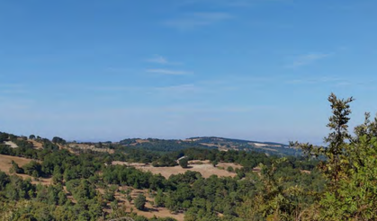 Yönetiminde eski bakan da var... Kuşların göç rotasına RES!