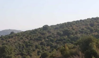 ‘Beşli Çete’ kitabında adı geçiyordu… O şirketin projesine Bakanlık onayı!