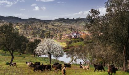 Yargı sürerken bakanlıktan yeni hamle: Sakin Şehir'de JES planı!