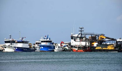 Denize lodos molası