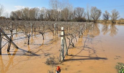 Gediz tarlaları yuttu!