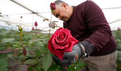 İzmir'de 14 Şubat mesaisi!