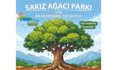 Menderes’te Sakız Ağacı Projesi