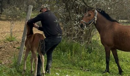Minik tay tellere takıldı... Anneden meraklı bekleyiş