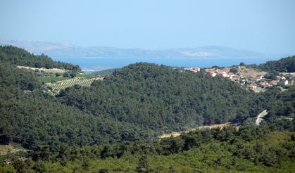 Orman ve SİT alanında imar hamlesi: Urla’da 85 villa planı askıda!