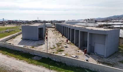 AK Parti'den 'Bergama Hali' çıkışı: Kaderine terk edildi!