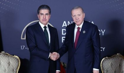 Cumhurbaşkanı Erdoğan'dan diplomasi trafiği